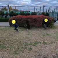 画像1124