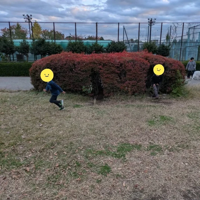 画像1124