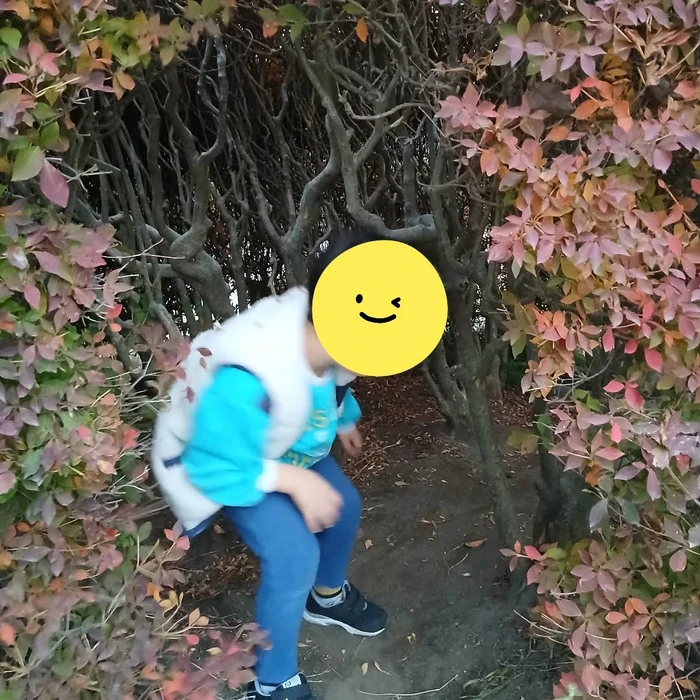 画像1161