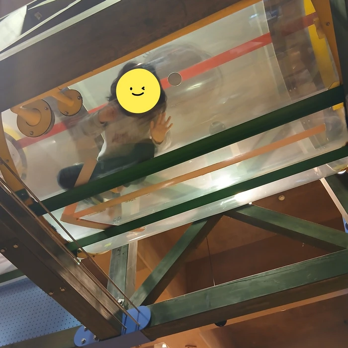 画像1294