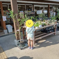 画像263
