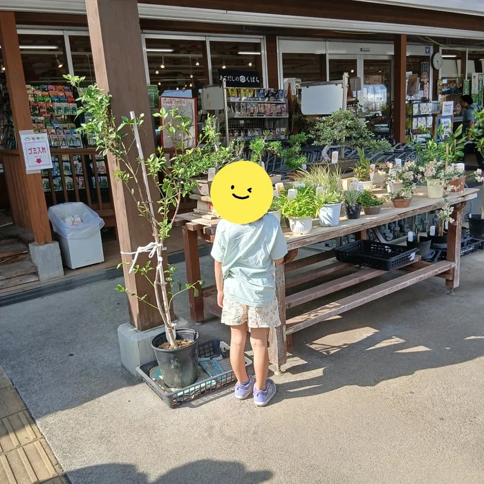 画像263
