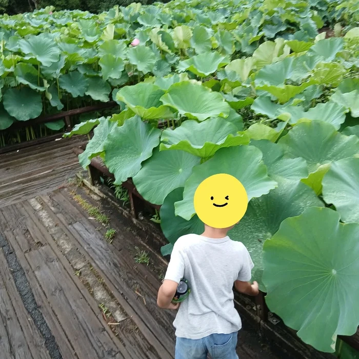 画像271