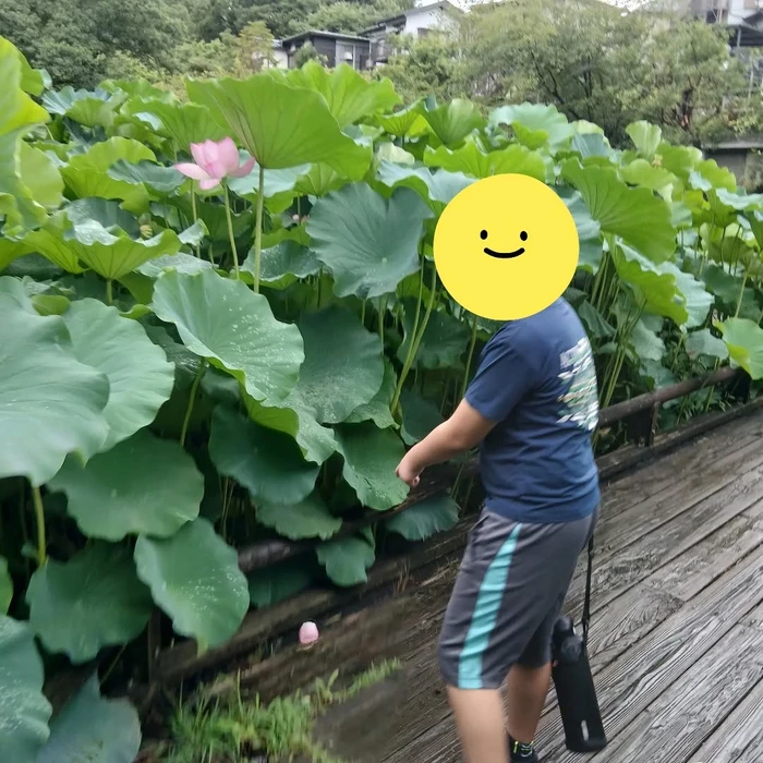 画像272