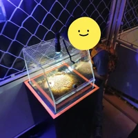 画像291