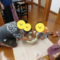 画像336