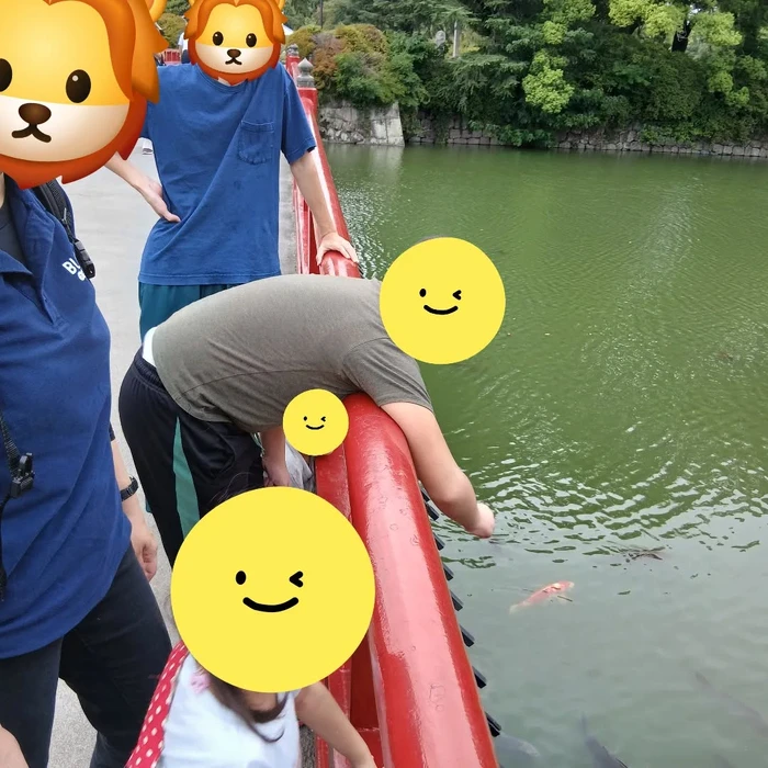 画像527