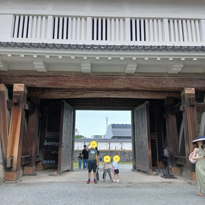 画像529