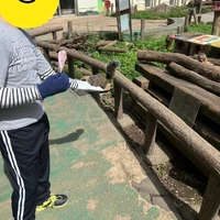 画像603