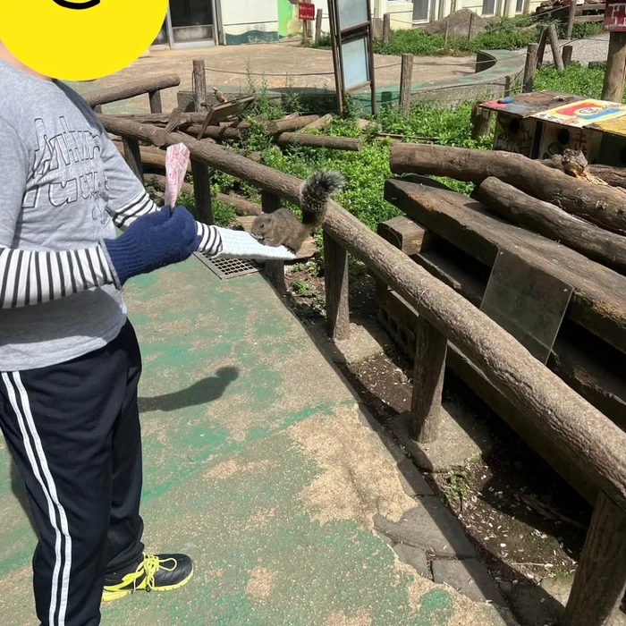 画像603